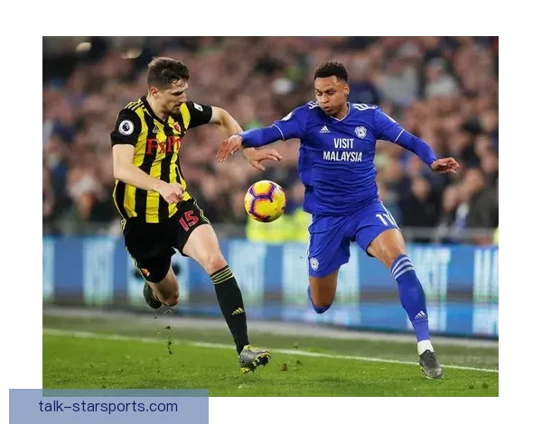 沃特福德足球俱乐部的历史传承与未来发展探讨